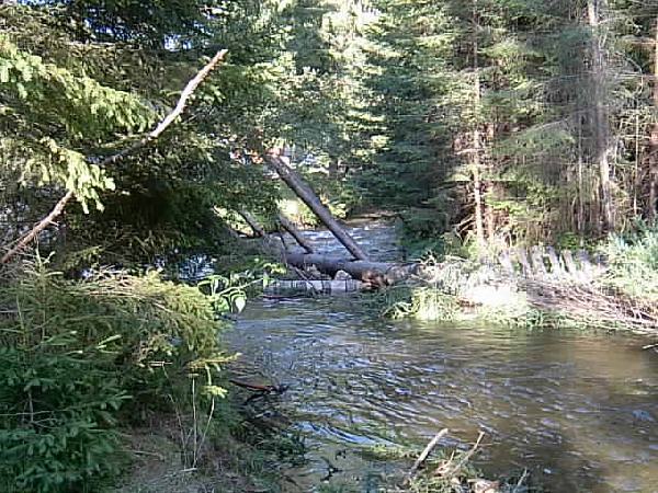  Bildname: IM000473.JPG 
 Breite: 640 Pixel 
 H�he: 480 Pixel 
 Gr�sse: 66 kB 