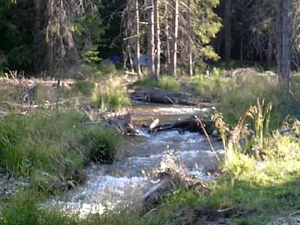  Bildname: IM000475.JPG 
 Breite: 640 Pixel 
 H�he: 480 Pixel 
 Gr�sse: 65 kB 