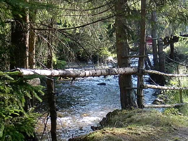  Bildname: IM000477.JPG 
 Breite: 640 Pixel 
 H�he: 480 Pixel 
 Gr�sse: 67 kB 