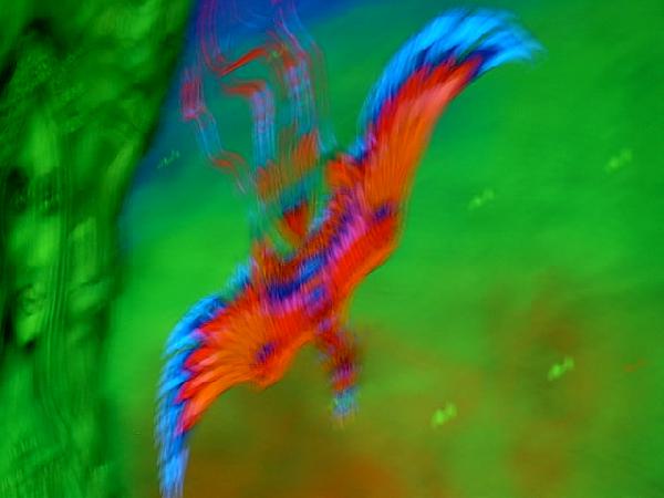  Bildname: IM000514.JPG 
 Breite: 640 Pixel 
 H�he: 480 Pixel 
 Gr�sse: 57 kB 