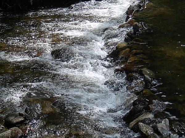  Bildname: IM000542.JPG 
 Breite: 640 Pixel 
 H�he: 480 Pixel 
 Gr�sse: 62 kB 