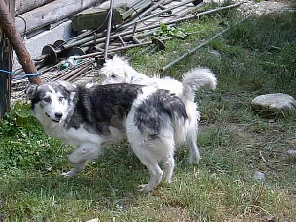  Bildname: IM000631.JPG 
 Breite: 640 Pixel 
 H�he: 480 Pixel 
 Gr�sse: 67 kB 