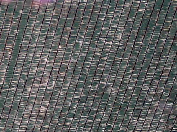  Bildname: IM000655.JPG 
 Breite: 640 Pixel 
 H�he: 480 Pixel 
 Gr�sse: 65 kB 