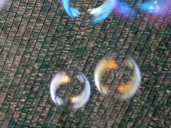  Bildname: IM000656.JPG 
 Breite: 640 Pixel 
 H�he: 480 Pixel 
 Gr�sse: 64 kB 