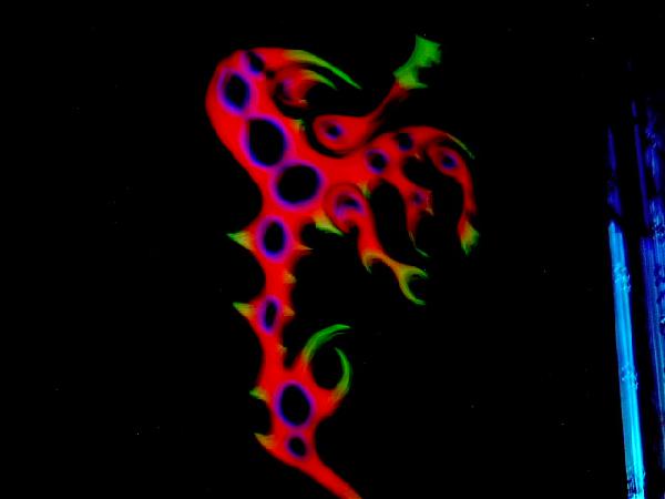  Bildname: IM000792_2.jpg 
 Breite: 640 Pixel 
 H�he: 480 Pixel 
 Gr�sse: 58 kB 