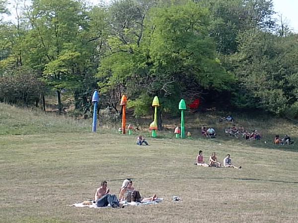  Bildname: IM000851.JPG 
 Breite: 640 Pixel 
 H�he: 480 Pixel 
 Gr�sse: 67 kB 