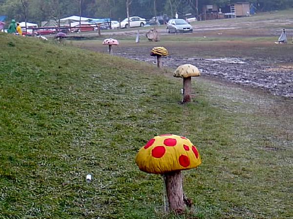  Bildname: IM000950.JPG 
 Breite: 640 Pixel 
 H�he: 480 Pixel 
 Gr�sse: 66 kB 