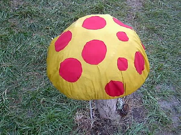  Bildname: IM000951.JPG 
 Breite: 640 Pixel 
 H�he: 480 Pixel 
 Gr�sse: 63 kB 