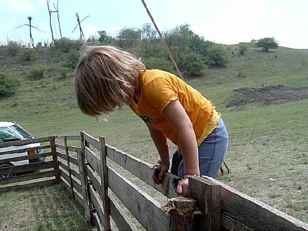  Bildname: IM001010.JPG 
 Breite: 640 Pixel 
 H�he: 480 Pixel 
 Gr�sse: 65 kB 