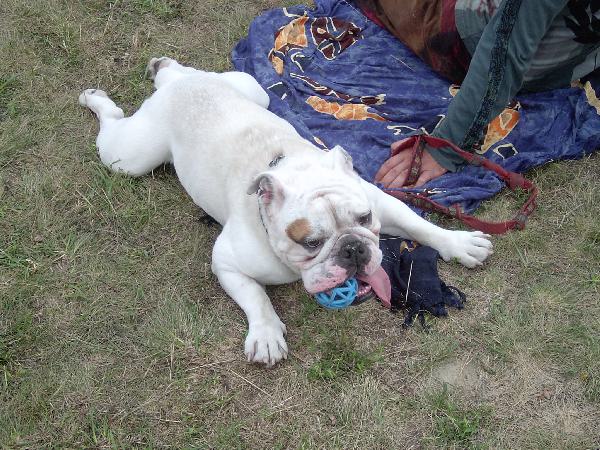  Bildname: IM001038.JPG 
 Breite: 2048 Pixel 
 H�he: 1536 Pixel 
 Gr�sse: 786 kB 