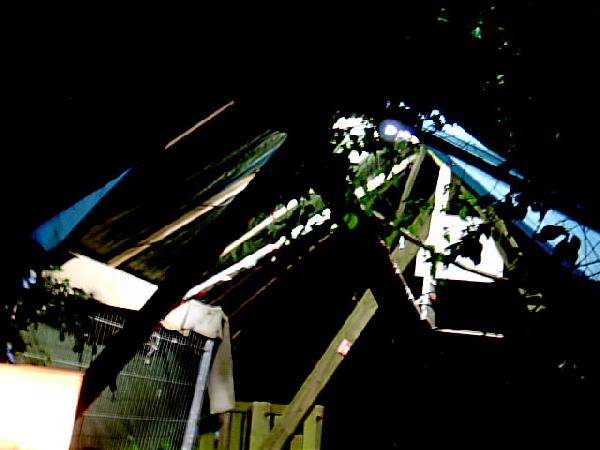  Bildname: IM001113.JPG 
 Breite: 640 Pixel 
 H�he: 480 Pixel 
 Gr�sse: 59 kB 