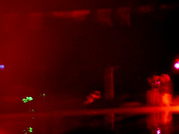  Bildname: IM001193.JPG 
 Breite: 640 Pixel 
 H�he: 480 Pixel 
 Gr�sse: 53 kB 