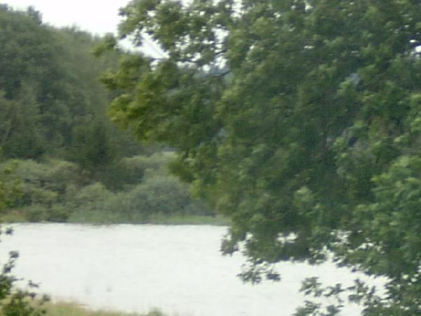  Bildname: IM001220.JPG 
 Breite: 640 Pixel 
 H�he: 480 Pixel 
 Gr�sse: 68 kB 