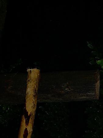  Bildname: IM001277.JPG 
 Breite: 480 Pixel 
 H�he: 640 Pixel 
 Gr�sse: 66 kB 